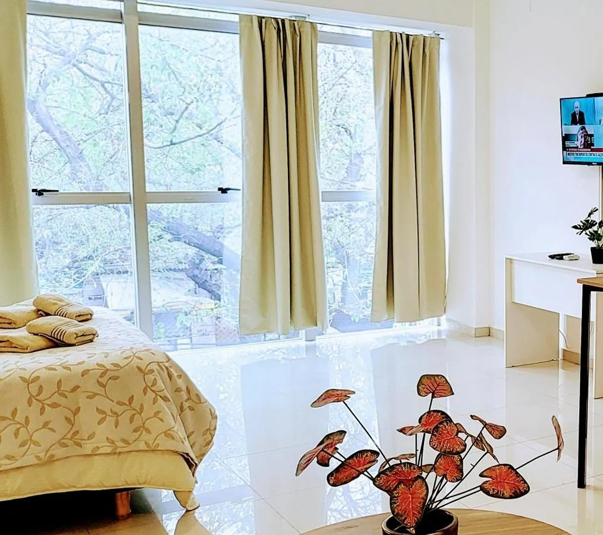 Terrazas Paseo Aristides Apartment Mendoza